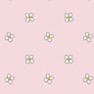 Meet your Posher, Evie